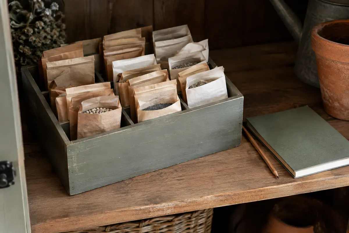 Sachets de graines potagères refermés et rangés dans une boîte compartimentée à l’abri de l’humidité