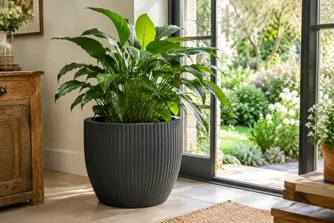 Pot de fleurs rond anthracite à motif cannelé avec une plante verte près d’une fenêtre ouverte sur le jardin.