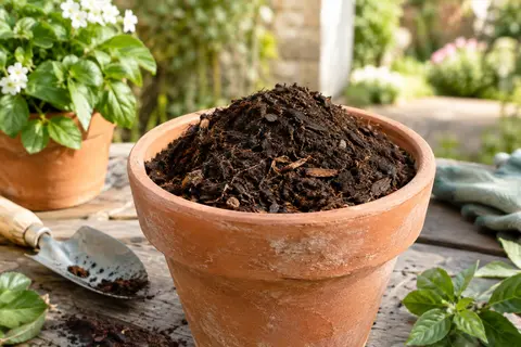Terreau sombre avec fragments végétaux dans un pot en terre cuite, au milieu d’un jardin printanier.