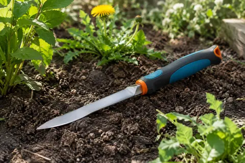 Couteau désherbeur à lame en acier et poignée bleue, noire et orange posé près d’un pissenlit