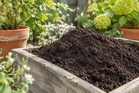 Terreau universel brun foncé présenté dans un bac en bois, avec un pot en terre cuite au jardin.