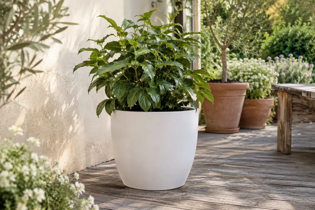 Pot rond Lechuza blanc mat avec une plante verte, posé sur une terrasse de jardin lumineuse.